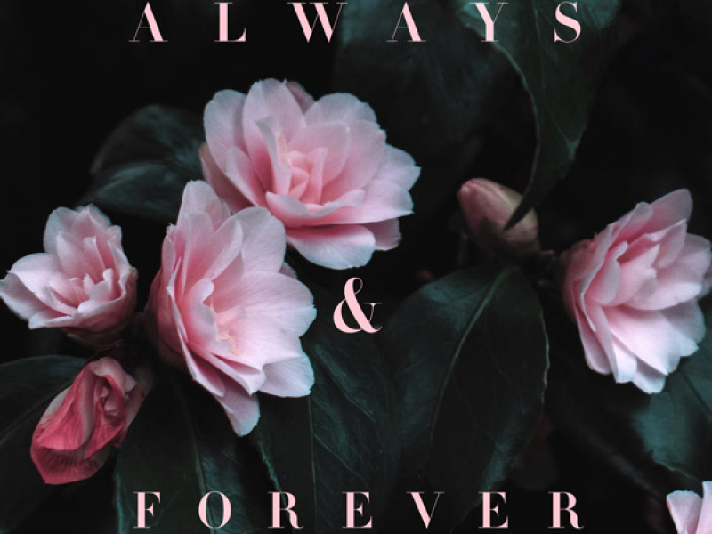 Always & Forever (Single)