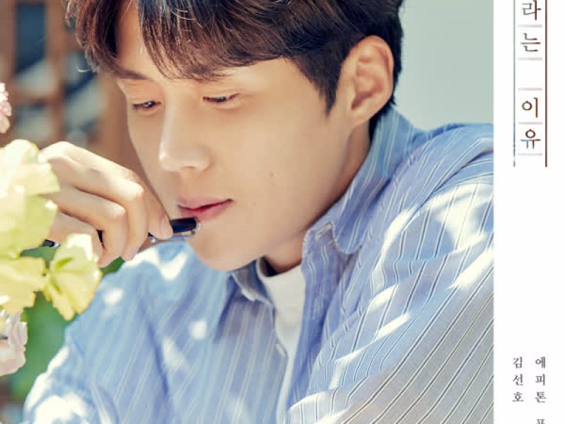 Reason (Vocal by Kim Seonho) (Single)