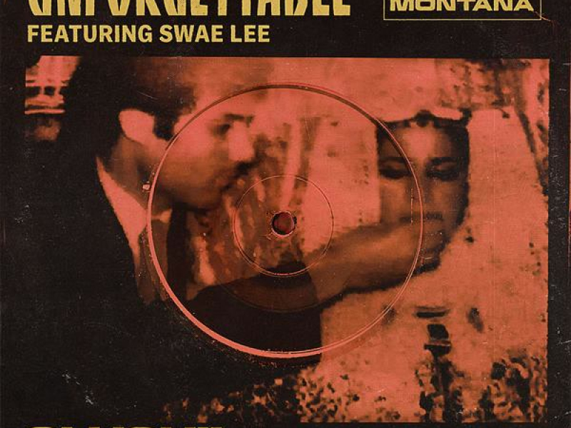 Unforgettable (Slushii Remix) (Single)