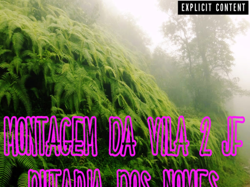 MONTAGEM DA VILA 2 JF PUTARIA DOS NOMES (Single)