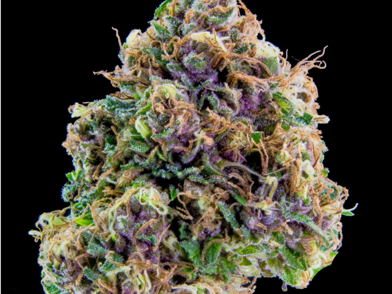 Hooked on Chronic (feat. Ren Da Heat Monsta & Okwerdz)