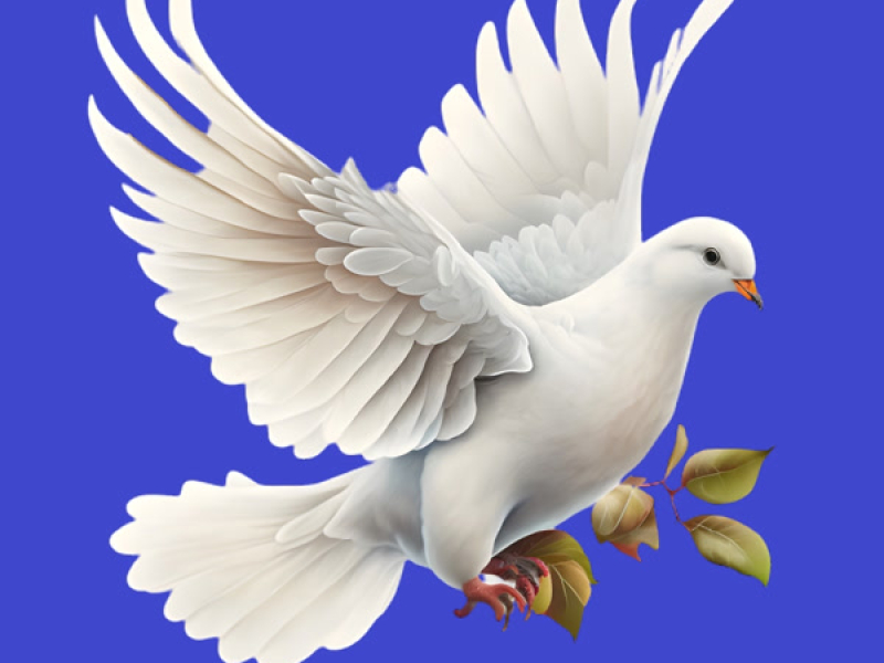 私たちは平和を望んでいます (Single)