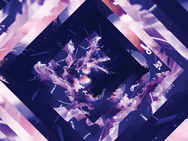 A Beautiful Place To Drown