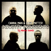 Industry Insurgents (Dj Wernz Remix) (Single)