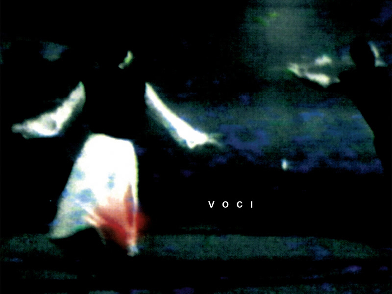 Berio: Voci