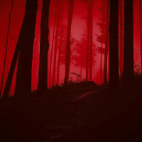 woods: slowed versions (slowed + reverb) (EP)