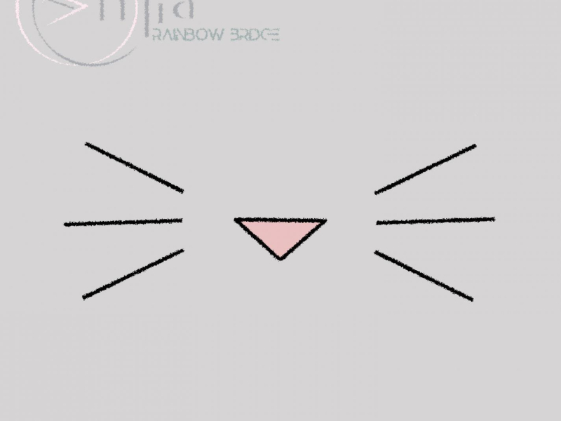 Rainbow Bridge (Single)