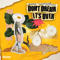 Don't Dream It's Over (Single)