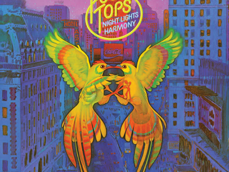 Night Lights Harmony