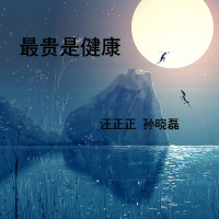 最贵是健康 (Single)