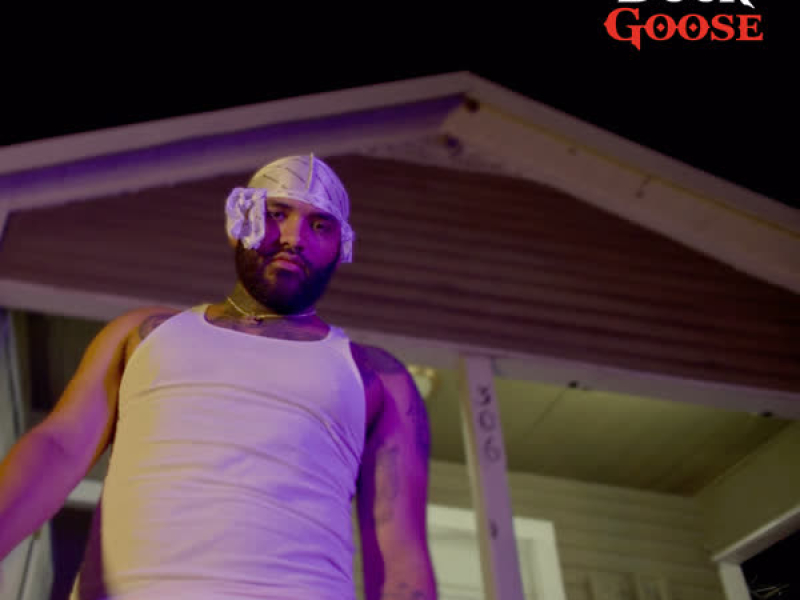 Duck Duck Goose (Single)