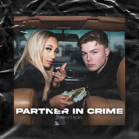 Partner in Crime (Single)