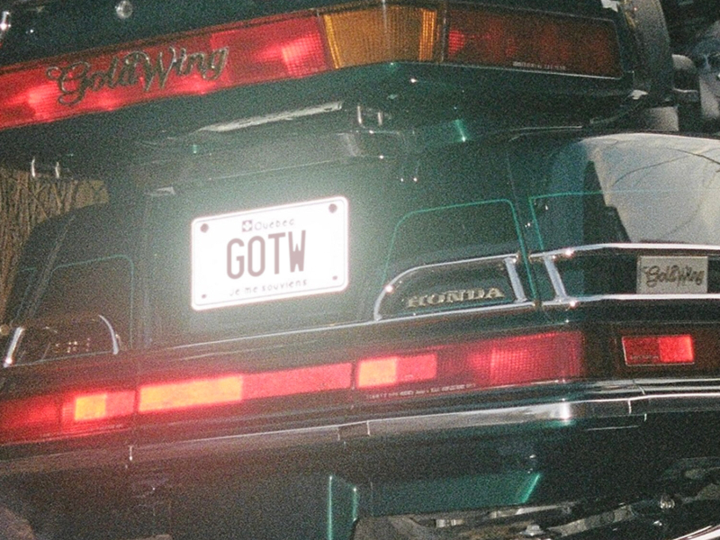 Gold on the Wings (Single)