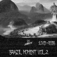 Brazil Moment, Vol. 2 (FUNK SLOWED + REVERB VERSION)