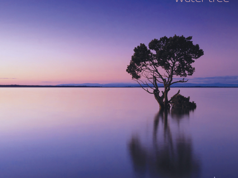 Water Tree