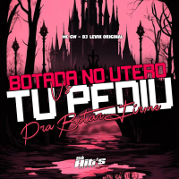 Botada no Utero  vs Pediu Pra Botar Firme (Single)