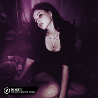 The Nights (Single)
