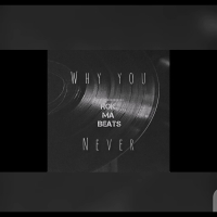 Why you never (Single)