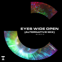 Eyes Wide Open (Alternative Mix) (Single)