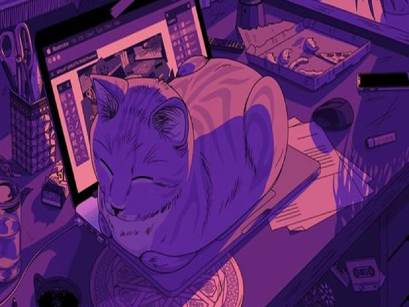 Latin Lofi Bossanova Beats