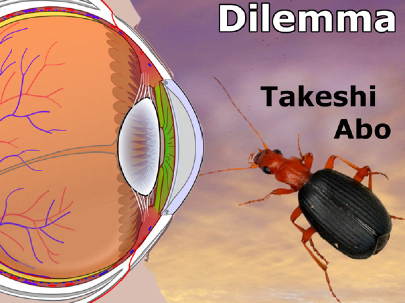 Darwin's Dilemma Abridged