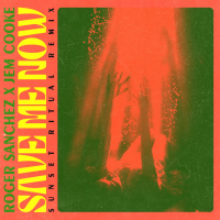 Save Me Now (Sunset Ritual Remix) (EP)