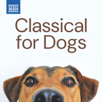Classical for Dogs