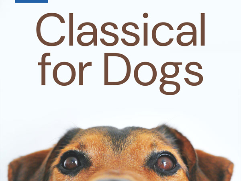 Classical for Dogs