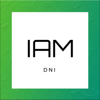 IAM (Single)