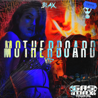 Motherboard (VIP) (Single)