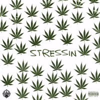 Stressin (Single)