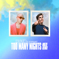 Too Many Nights (Noizu Remix) (Single)