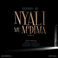 Nyali Mu M'dima Remix (feat. Cyclone_mw, Renegade, Barry One, Nthondwa, Spyral & K Banton) (Single)