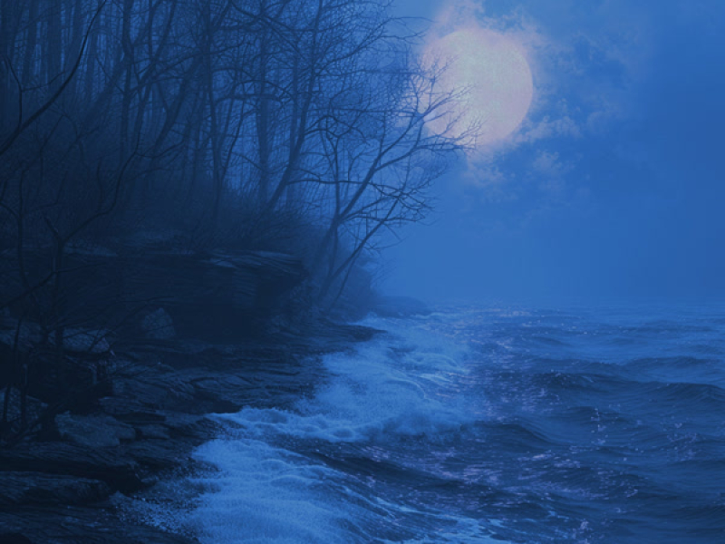 everything has an end (Single)