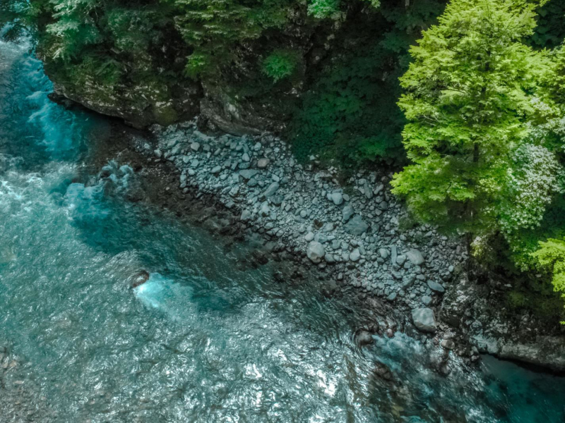 Calming Sounds from a Mountain Stream in Switzerland (Single)