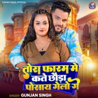 Tora Faram Me Kate Chhauda Posay Gelo Ge (Single)