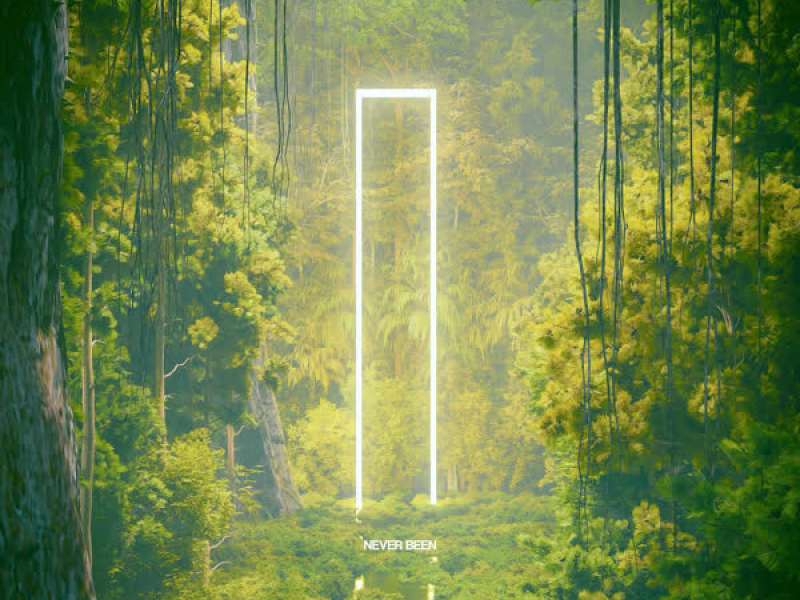 Never Been (Single)