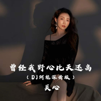 曾经我野心比天高 (DJ阿能深情版) (Single)