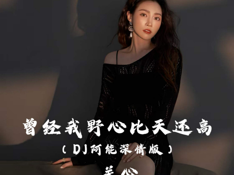 曾经我野心比天高 (DJ阿能深情版) (Single)