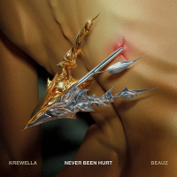 Never Been Hurt (Single)