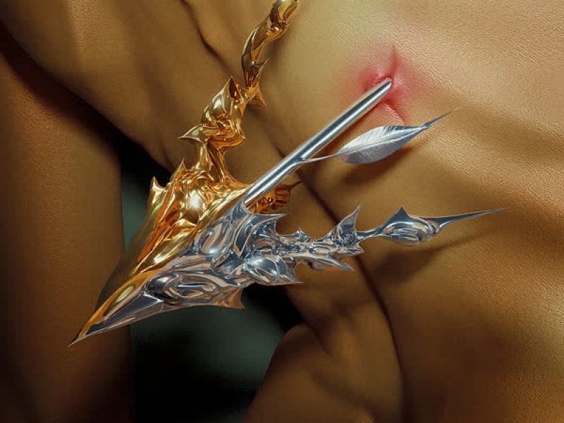 Never Been Hurt (Single)