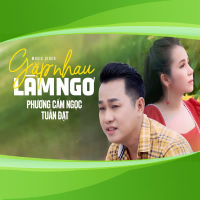 Gặp Nhau Làm Ngơ (Single)