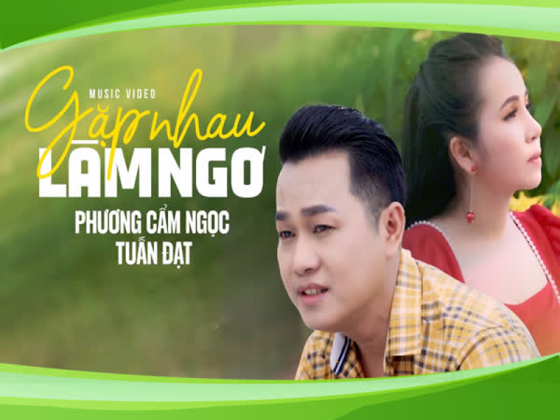 Gặp Nhau Làm Ngơ (Single)