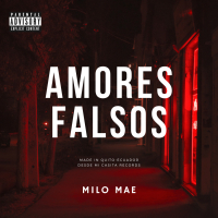 Amores Falsos (Single)