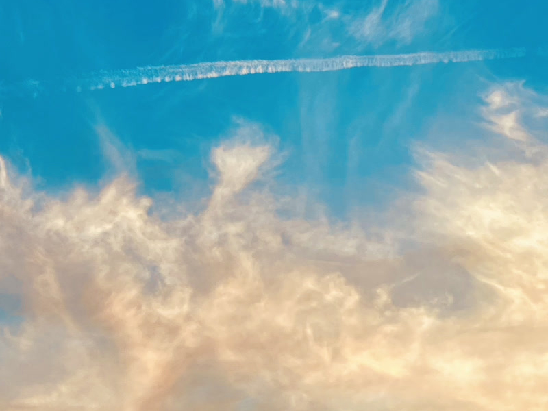 Life Is Beautiful (Single)