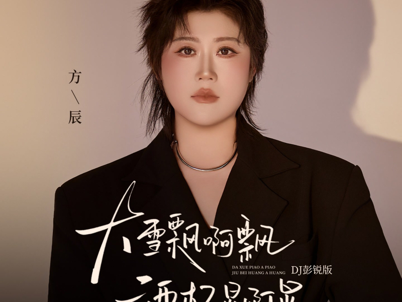大雪飘啊飘酒杯晃啊晃（DJ彭锐版） (Single)