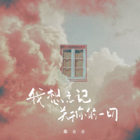 我想忘记关于你的一切 (Single)