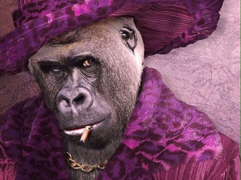 Gorilla Pimpin (EP)
