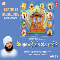 Aise Gur Ko Bal Bal Jaiye Vol-53 (Single)