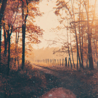 Anything Endless Is Wonderous (Single)